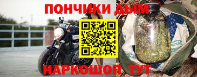 прущие грибы Мариинск