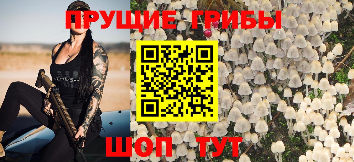 Псилоцибиновые грибы мухоморы  Галлюциногенные грибы мухоморы  Вход с VPN  Дивногорск 